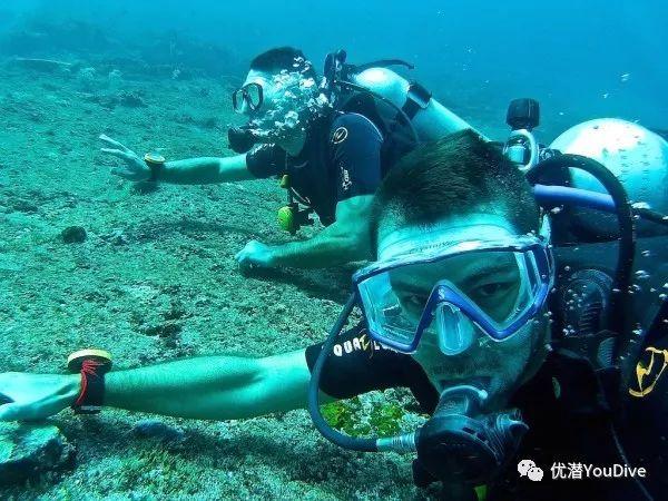 解析原发免疫性血小板减少症:病因、症状与治疗探析